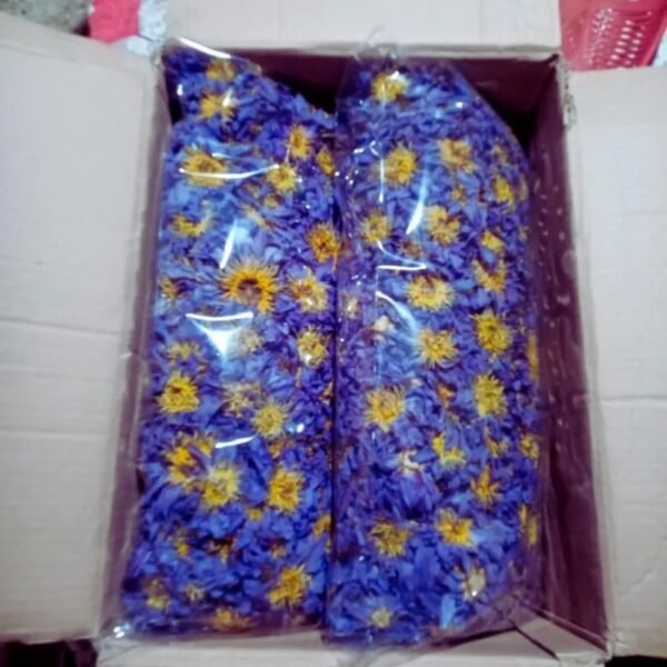 Organic Egyptian Blue Lotus dried flowers sacred blooms Nymphaea Caerulea from Sri Lanka
