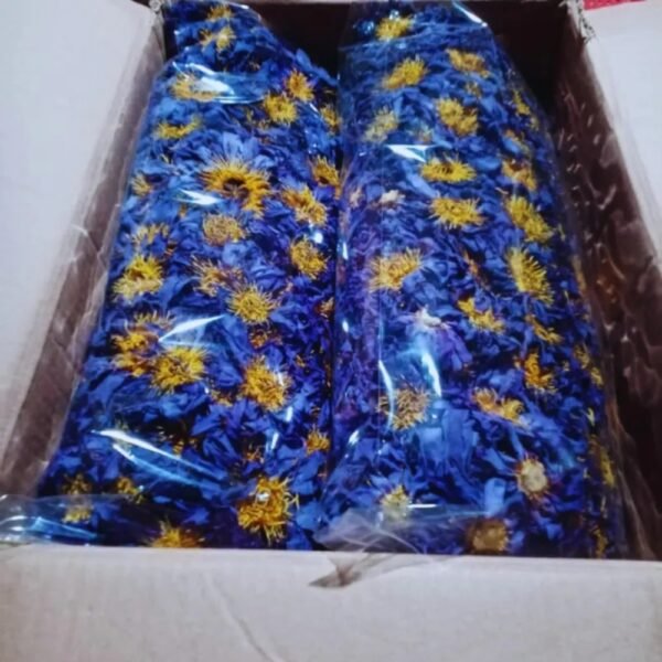 Organic Egyptian Blue Lotus dried flowers sacred blooms Nymphaea Caerulea from Sri Lanka