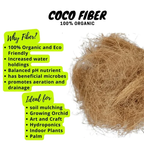 Coconut Husk Fiber - Image 6