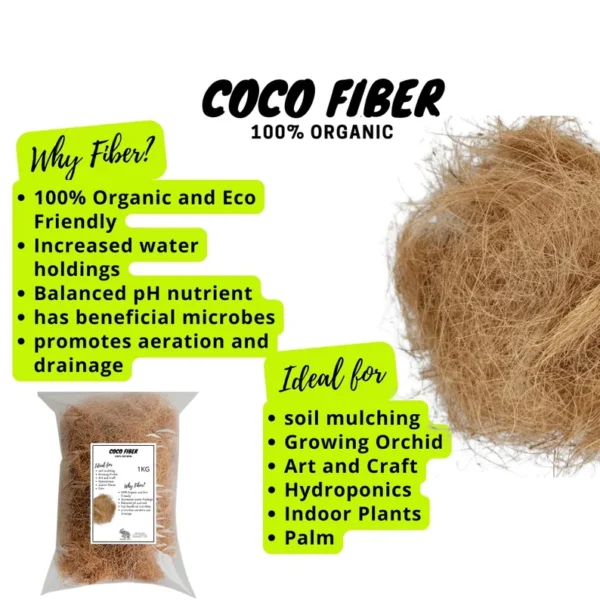 Coconut Husk Fiber - Image 7