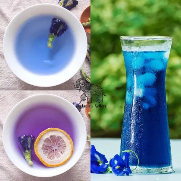 Blue Butterfly Pea Flower - Image 2