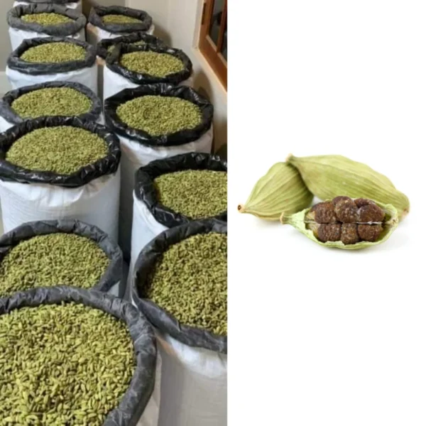 Cardamom Green Pods - Image 4