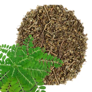 Chanca piedra herb