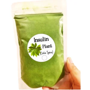Insulin Plant Leaves Powder