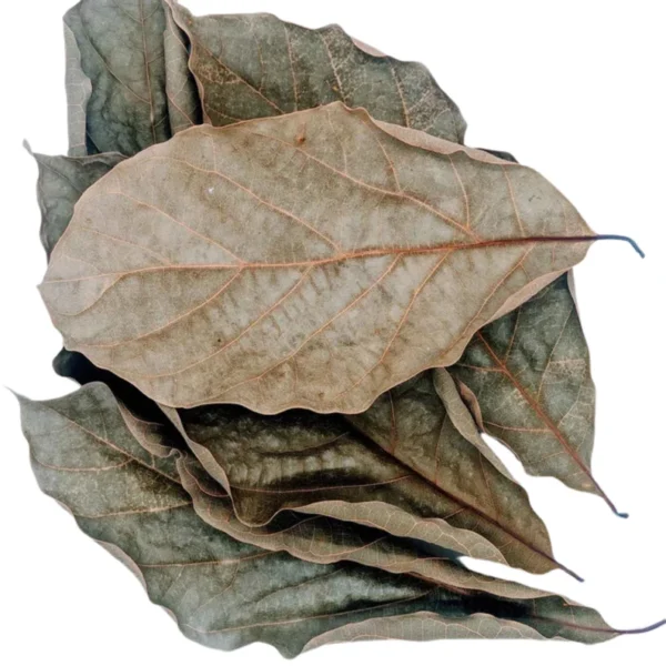 Dried Avocado Leaves - Image 6