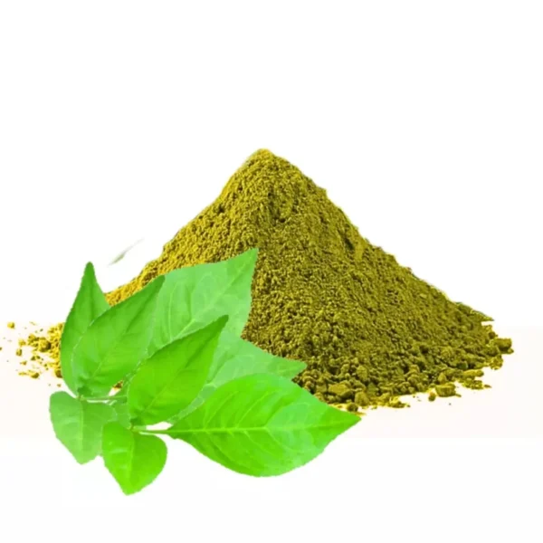 Indian Bael Leaves - Image 2