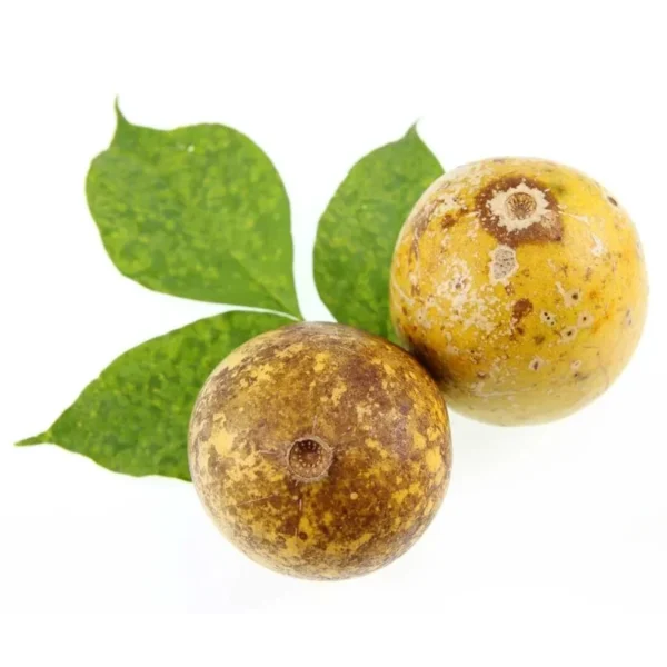 Indian Bael Leaves - Image 4