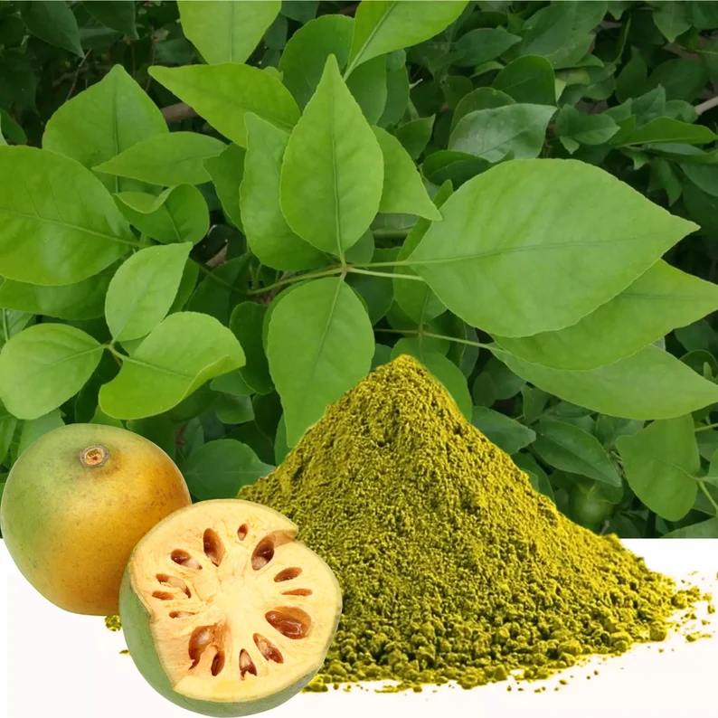 Indian Bael Leaves