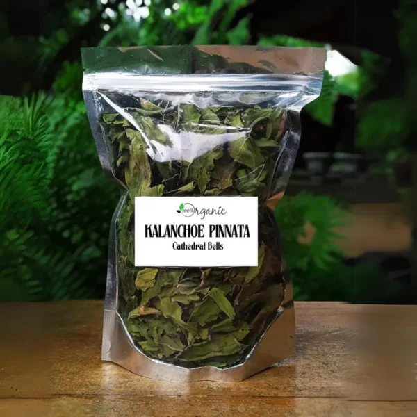 Jamaican fresh life of leaf - Image 3