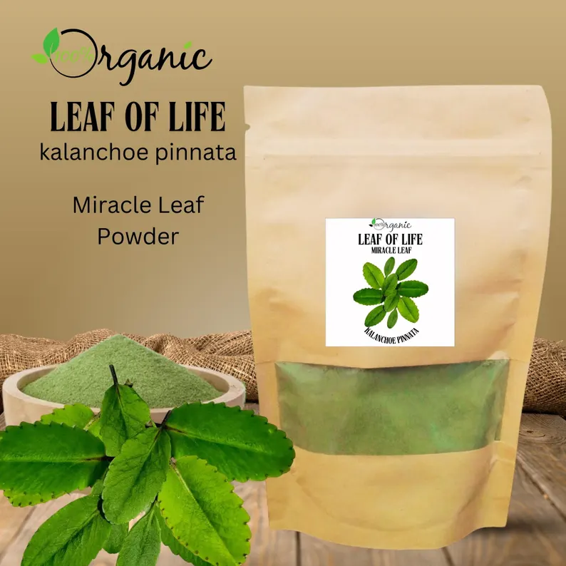 Leaf Of Life herb