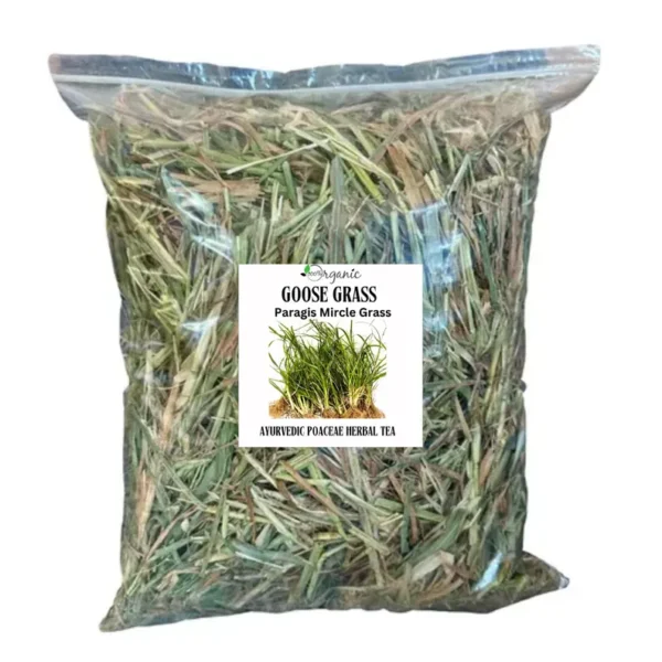 Goose Grass Paragis Plant - Image 4