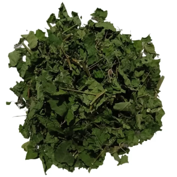 Fertility Bush - Image 2