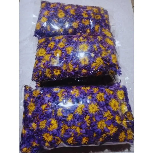 Egyptian Blue Lotus Flowers - Image 3