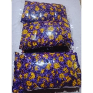 Egyptian Blue Lotus Flowers