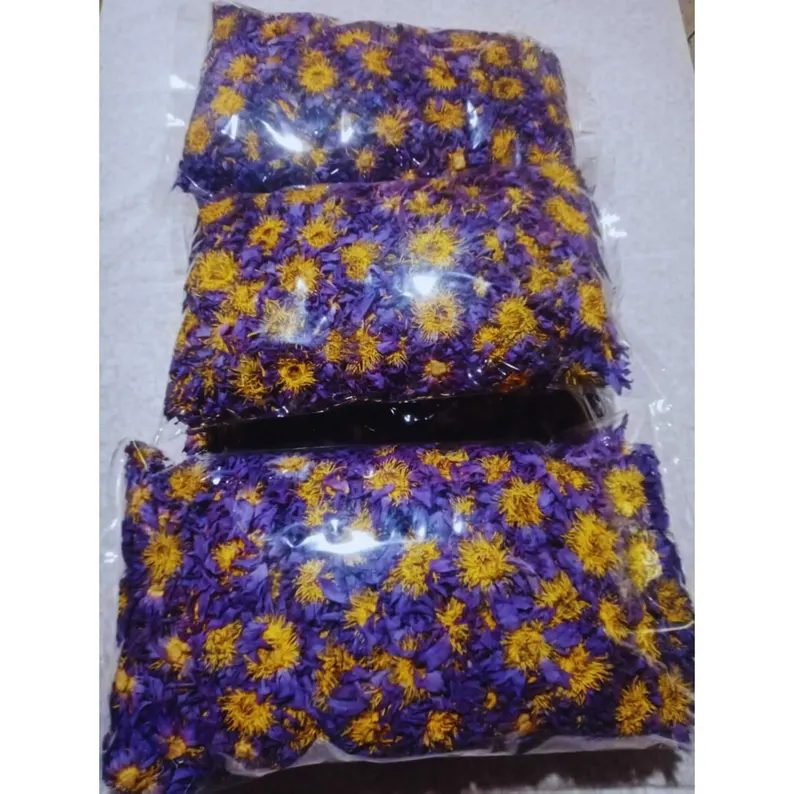 Egyptian Blue Lotus Flowers