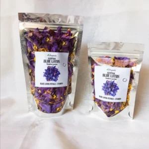 Egyptian Blue Lotus Flowers