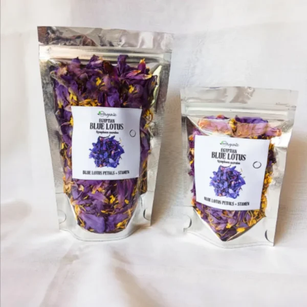 Egyptian Blue Lotus Flowers