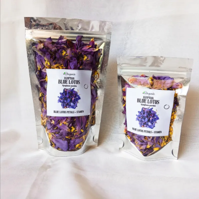 Egyptian Blue Lotus Flowers