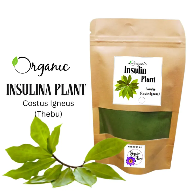 Insulina Plant Organic
