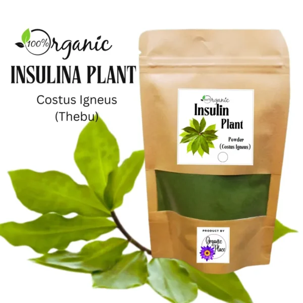 Insulina Plant Organic - Image 3