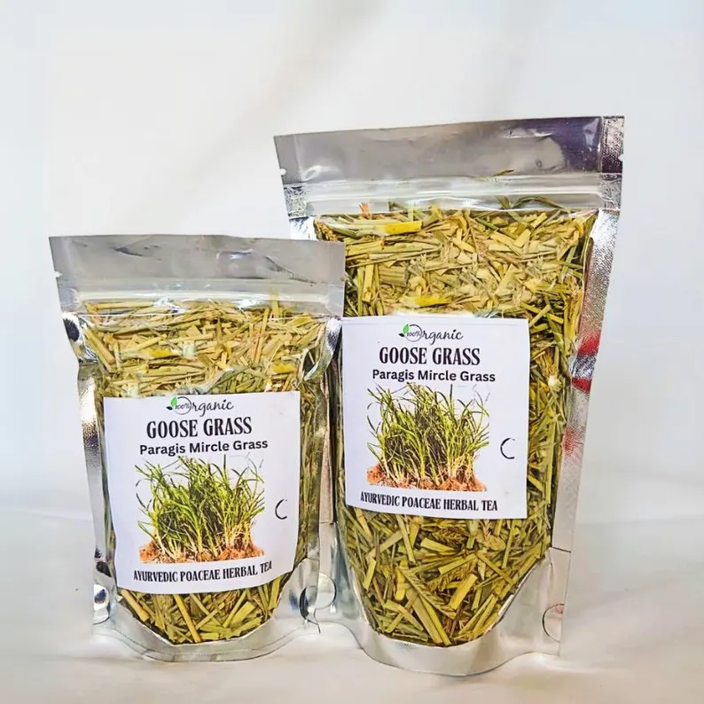 Goose Grass Paragis Plant