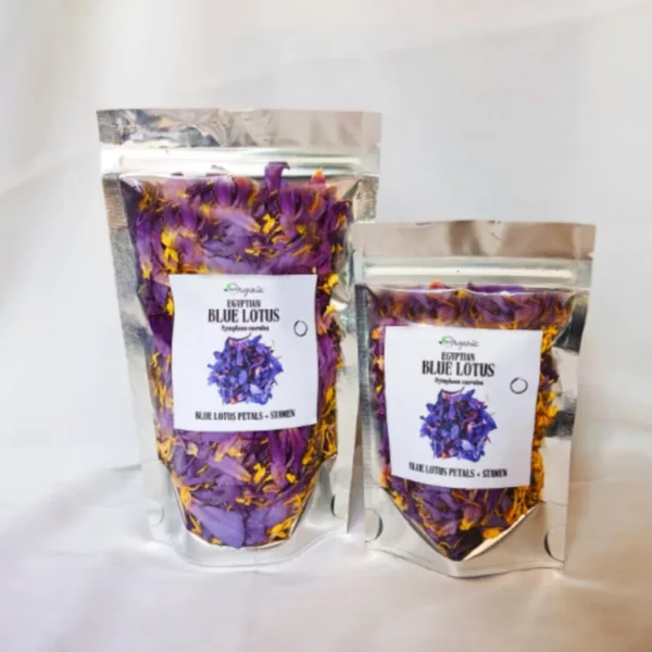 Egyptian Blue Lotus Flowers - Image 7