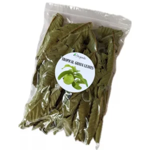 1000 Guava Leaves