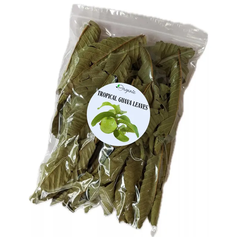 1000 Guava Leaves