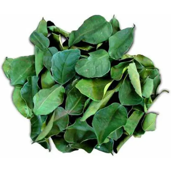 Dried Kaffir Lime Leaves - Image 2