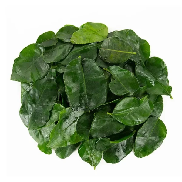 Dried Kaffir Lime Leaves - Image 3
