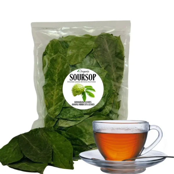 5000 Organic Soursop Leaves - Image 5