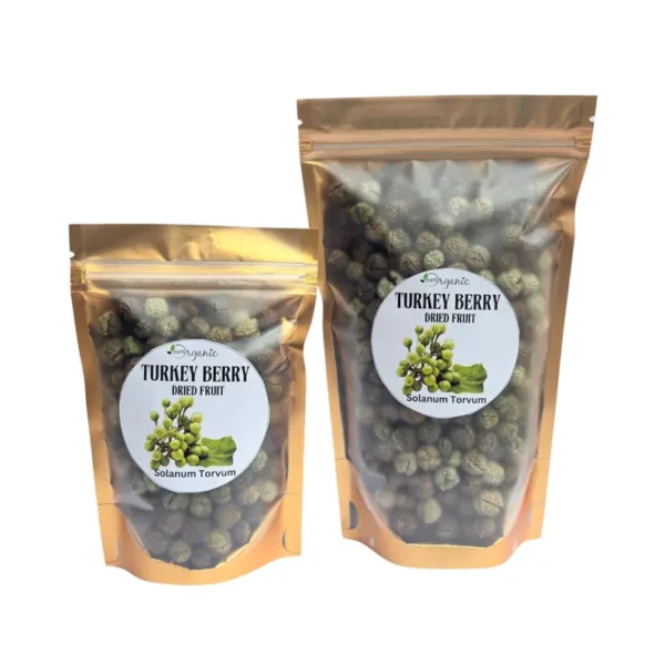 Turkey Berry - Image 2