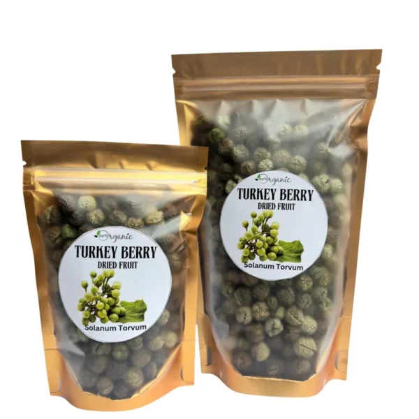 Turkey Berry - Image 3