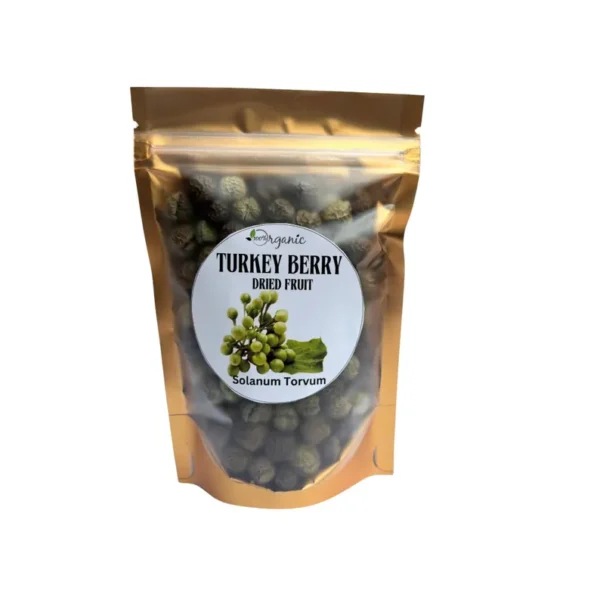Turkey Berry - Image 4
