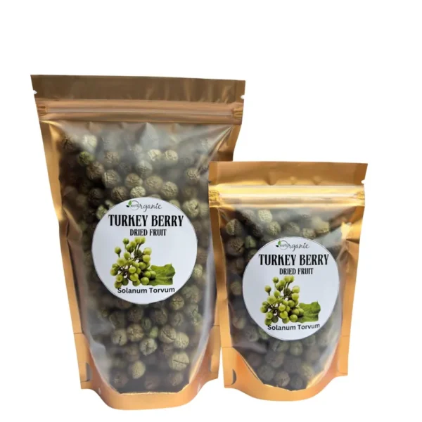 Turkey Berry - Image 5