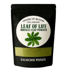 Jamaican Life of Leaf Powder