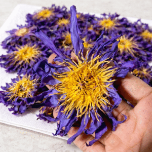 Organic Egyptian Blue Lotus Flowers - Premium Organic Dried Blooms
