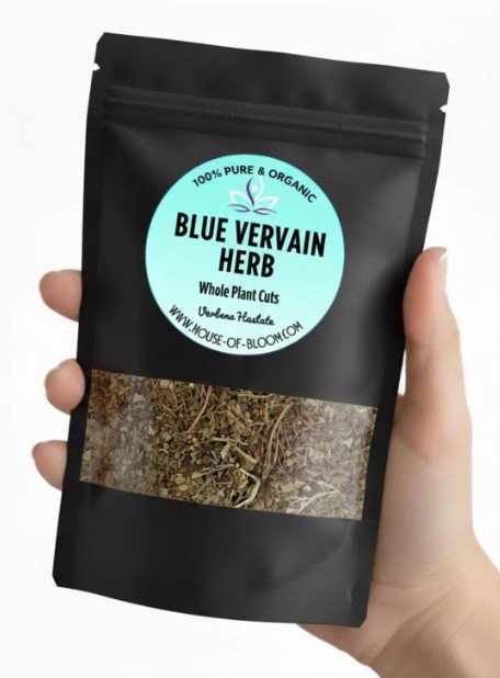 Blue Vervain (Verbena hastata) Herbs - Image 3